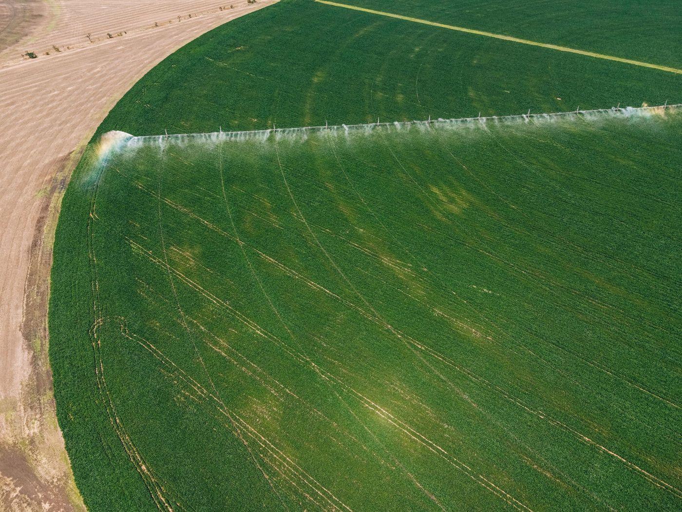 A centre-pivot irrigation system watering a large circular field of crops